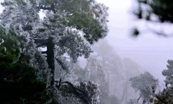 监狱建筑师