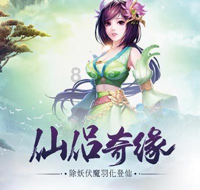 飞天小猪仔